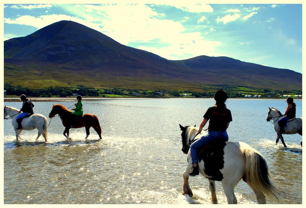 Kilsallagh Cottage 웨스트포트 외부 사진